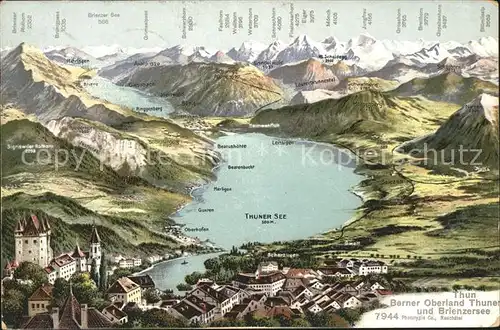 Thunersee Berner Oberland Panoramakarte Kat. Thun