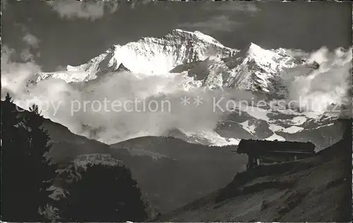 Jungfrau BE im Abendlicht Berghaus / Jungfrau /Rg. Finsteraarhorn