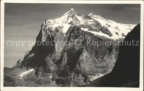 Grindelwald Wetterhorn Kat. Grindelwald