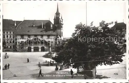 Fribourg FR Hotel de Ville et le Tilleul de Morat Kat. Fribourg FR