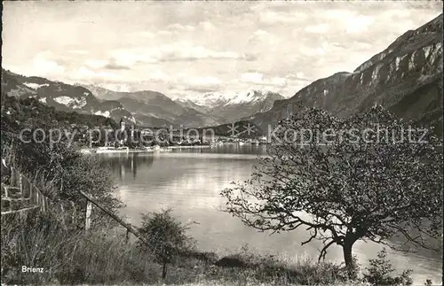 Brienz BE Seepanorama Kat. Brienz