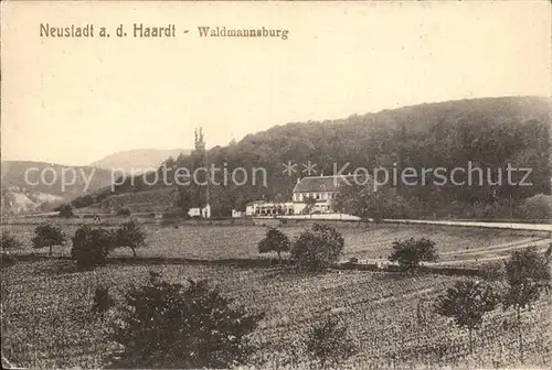 Neustadt Haardt Waldmannsburg Kat. Neustadt an der Weinstr.