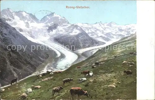 Roseg Gletscher 