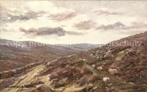 Goathland Landscape North York Moors National Park Sheeps Kuenstlerkarte