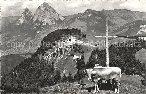 Stoos SZ und die Mythen Gipfelkreuz Betruf Kuh Kat. Stoos