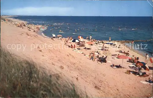 Cape Cod Mass. Dennis municipal beach Kat. 