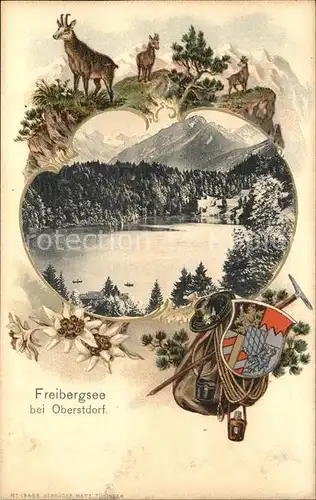 Freibergsee Panorama mit Allgaeuer Alpen Gemse Wappen Edelweiss Kat. Oberstdorf