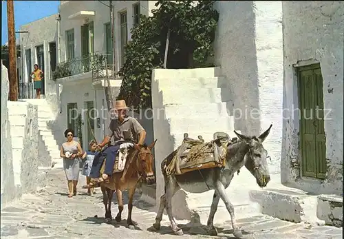 Mykonos Kykladeninsel aegaeis Malerische Strasse Esel Kat. 