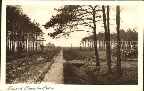 Putten Gelderland Fielspad Waldweg