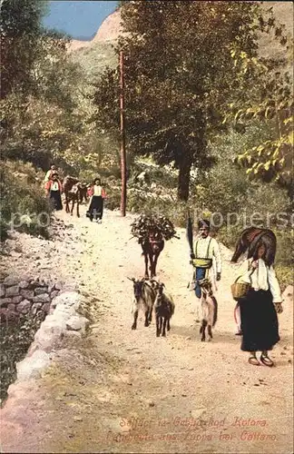 Kotor Montenegro Landleute aus Zuppa Ziege Esel Lasttier / Montenegro /