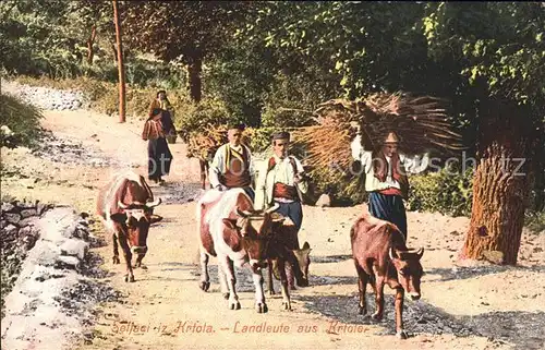Krtole Krtola Landleute Kuehe Kat. Montenegro
