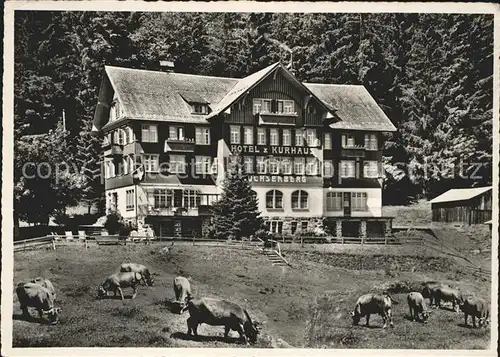 Buchs SG Hotel Kurhaus Buchserberg Kuehe / Buchs /Bz. Werdenberg