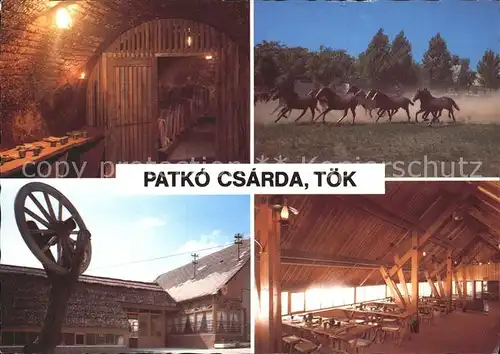 Ungarn Patko Csarda Toek Pferde Kat. Ungarn