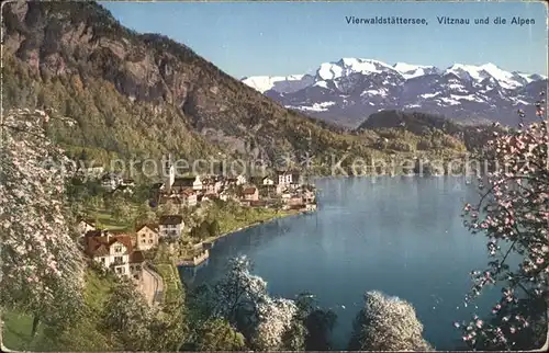 Vierwaldstaettersee SZ Vitznau Alpen Kat. Brunnen