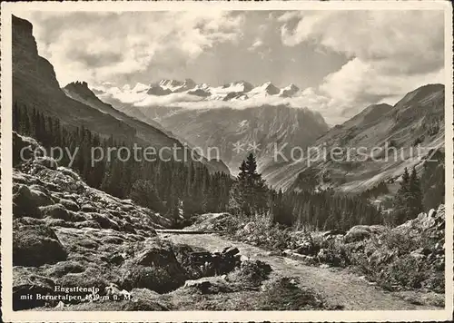 Engstlenalp BE mit Berner Alpen Kat. Innertkirchen