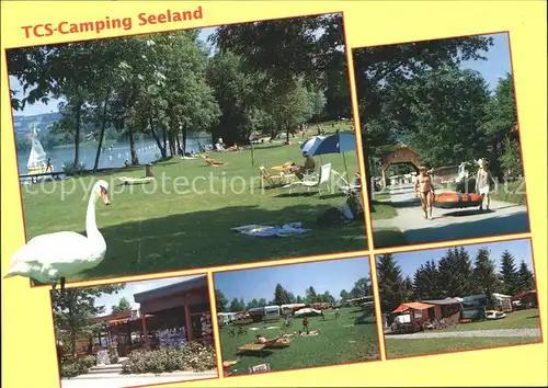 Sempach LU TCS Camping Seeland Kat. Sempach