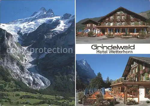 Grindelwald Hotel Wetterhorn Schreckhorn und oberer Gletscher Kat. Grindelwald