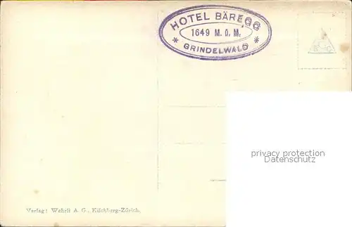 Grindelwald Hotel Baeregg und die Fiescherhoerner Kat. Grindelwald