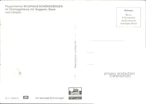 Wildhaus Schoenenboden Fliegeraufnahme mit Goggeien Speer und Luetispitz Kat. Wildhaus