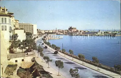 Mallorca Paseo Martimo Puerto Catedral Kat. Spanien