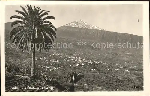 Tenerife Valle de la Orotava Kat. Islas Canarias Spanien