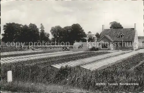 Heerde Gelderland Tuinderij Borchgraverweg Kat. 