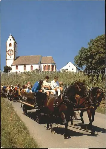 St Moritz GR Pferdekutschfahrt durch Hallauer Rebberge mit Bergkirche Kat. St Moritz
