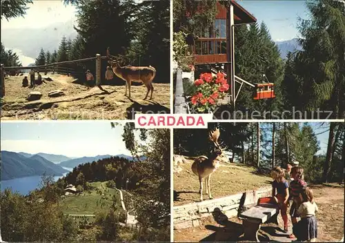 Cardada Wild Seilbahn Kat. Locarno