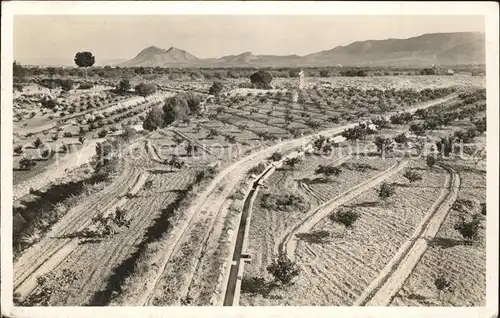 Spanien el Prado de arboles Kat. Spanien