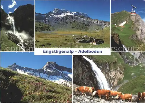 Adelboden Engstligenalp Seilbahn Kuehe Wasserfall Kat. Adelboden