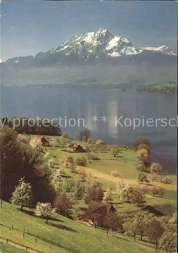 Vierwaldstaettersee SZ mit Pilatus Kat. Brunnen