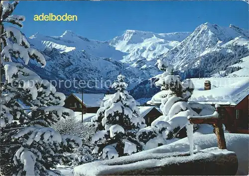 Adelboden Tierhoernli Steghorn Wildstrubel Kat. Adelboden