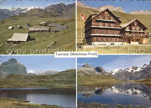 Tannalp Berghaus Tannalp  Kat. Melchsee Frutt