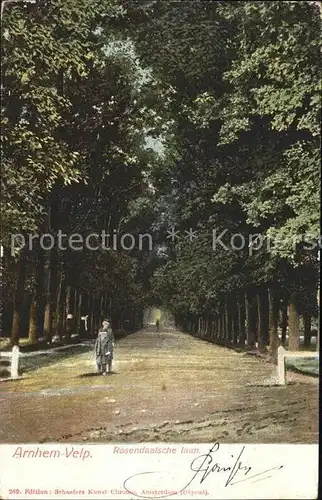 Velp Arnhem Rosendaalsche laan Baumallee Kat. Niederlande