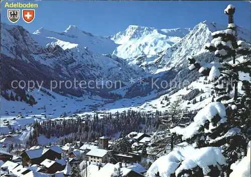 Adelboden Tierhoernli Steghorn Wildstrubel Fitzer Kat. Adelboden