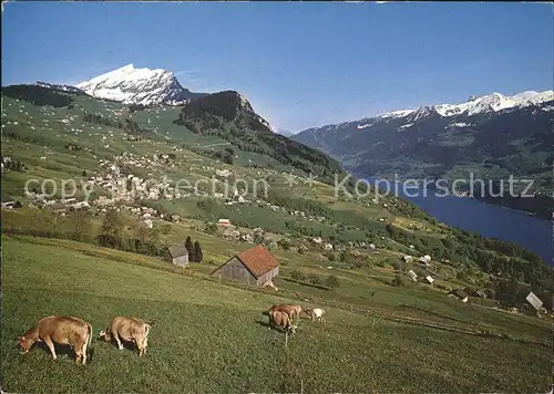 Amden SG mit Leistkamm und Walensee Kat. Amden