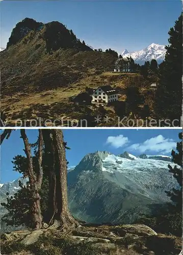 Matterhorn VS Riderfurka Weisshorn Aletschwald  Kat. Matterhorn