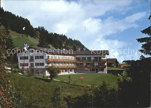 Adelboden Splitter Haus Diakonissenanstalt Riehen Kat. Adelboden