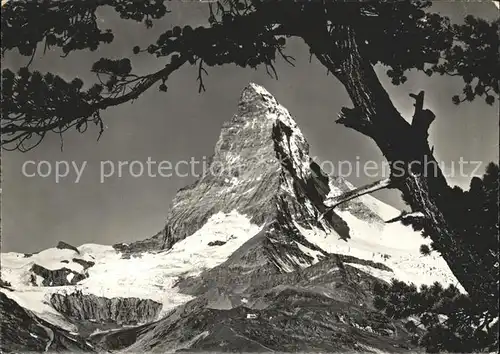 Zermatt VS Rifelalp Matterhorn  Kat. Zermatt