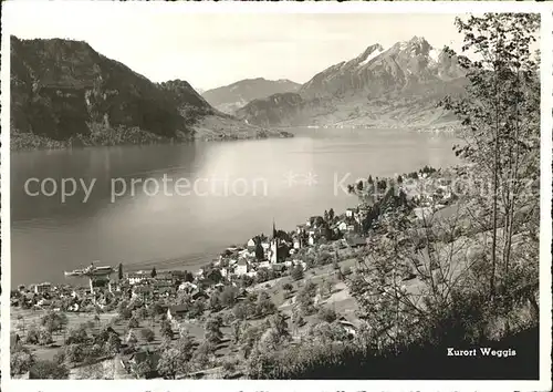 Weggis LU Vierwaldstaettersee Buergenstock Pilatus Kat. Weggis