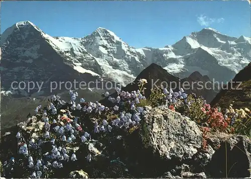 Moench BE Eiger Jungfrau Kat. Moench