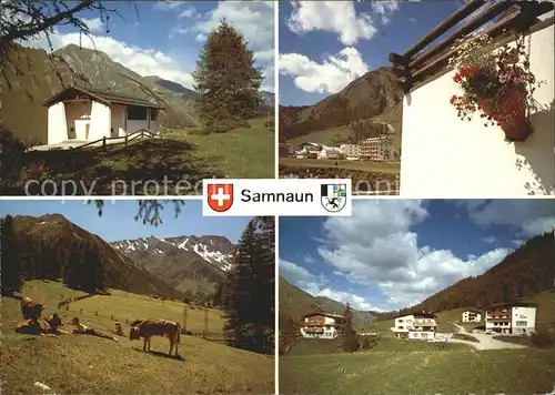 Samnaun GR Dorfmotive Viehweide /  /