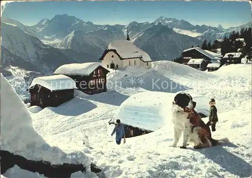 Bettmeralp VS Fletschhorn Dom Matterhorn Hund Kat. Bettmeralp