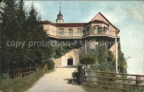 Gebhardsberg Vorarlberg Hund Kat. Bregenz