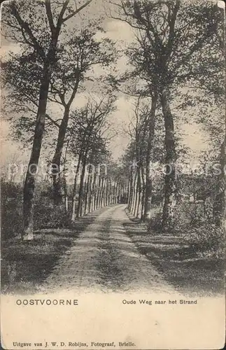 Oostvoorne Niederlande Weg Strand Kat. Oostvoorne Niederlande