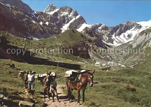 Meglisalp Esel Rotsteinpass  / Altmann /Rg. Saentis