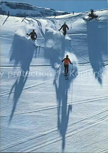 Adelboden Skifahrer im tTefschnee Kat. Adelboden