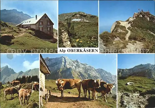 Amden SG Alp Oberkaesern Teilansichten Viehweide Kat. Amden