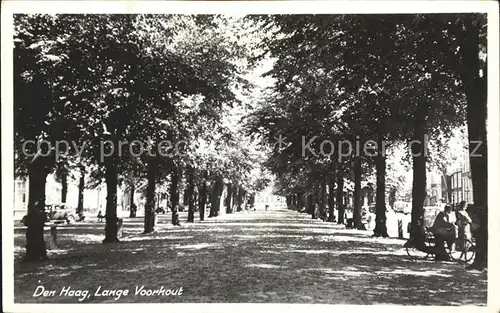 Den Haag Lange Voorhout Baumallee Kat. s Gravenhage