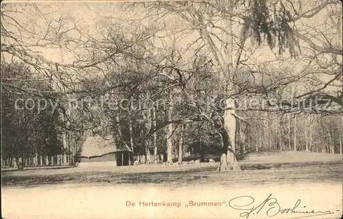 Brummen Hertenkamp